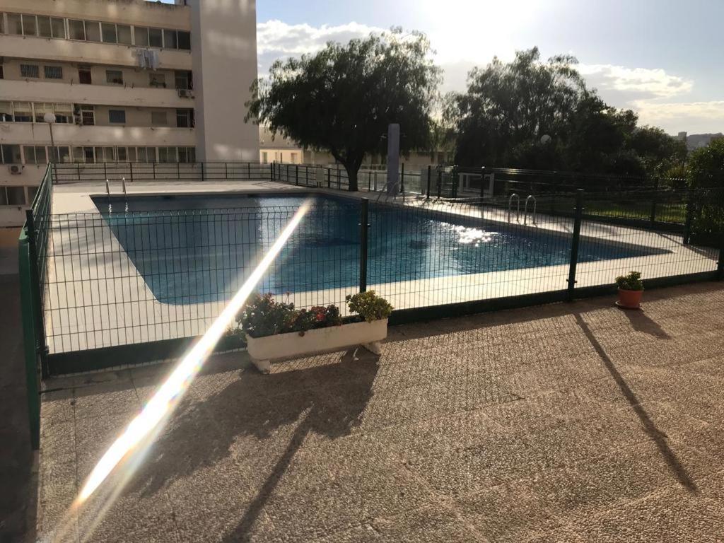 Los Fernandos, 1St Line Beachfront Poniente, 2 Bedroom Apartment Ocean Terrace Benidorm Eksteriør billede